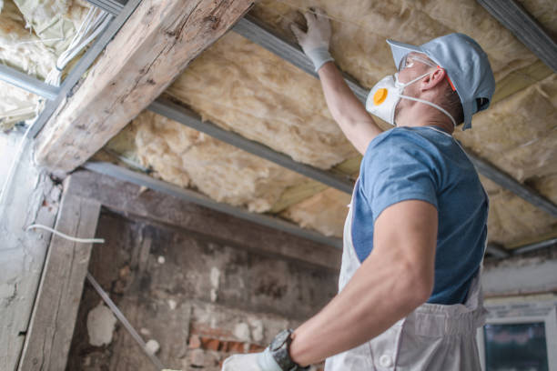 Best Insulation for Specific Applications in Edmonton, KY